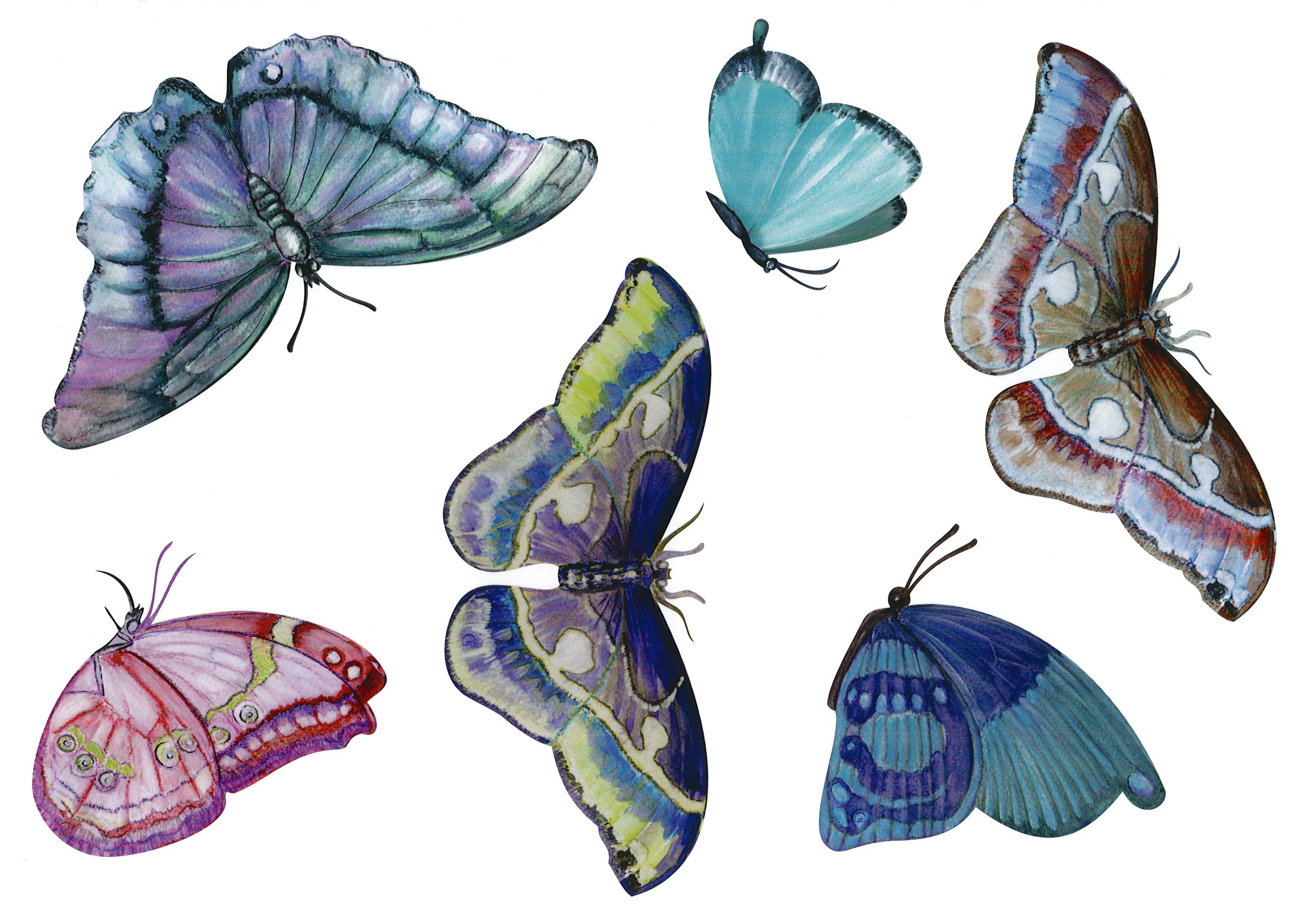 6 Papillons
