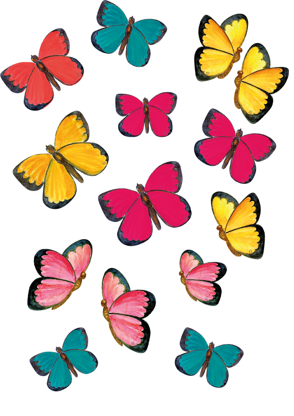 14 papillons multicolores