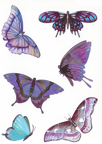 6 papillons violets