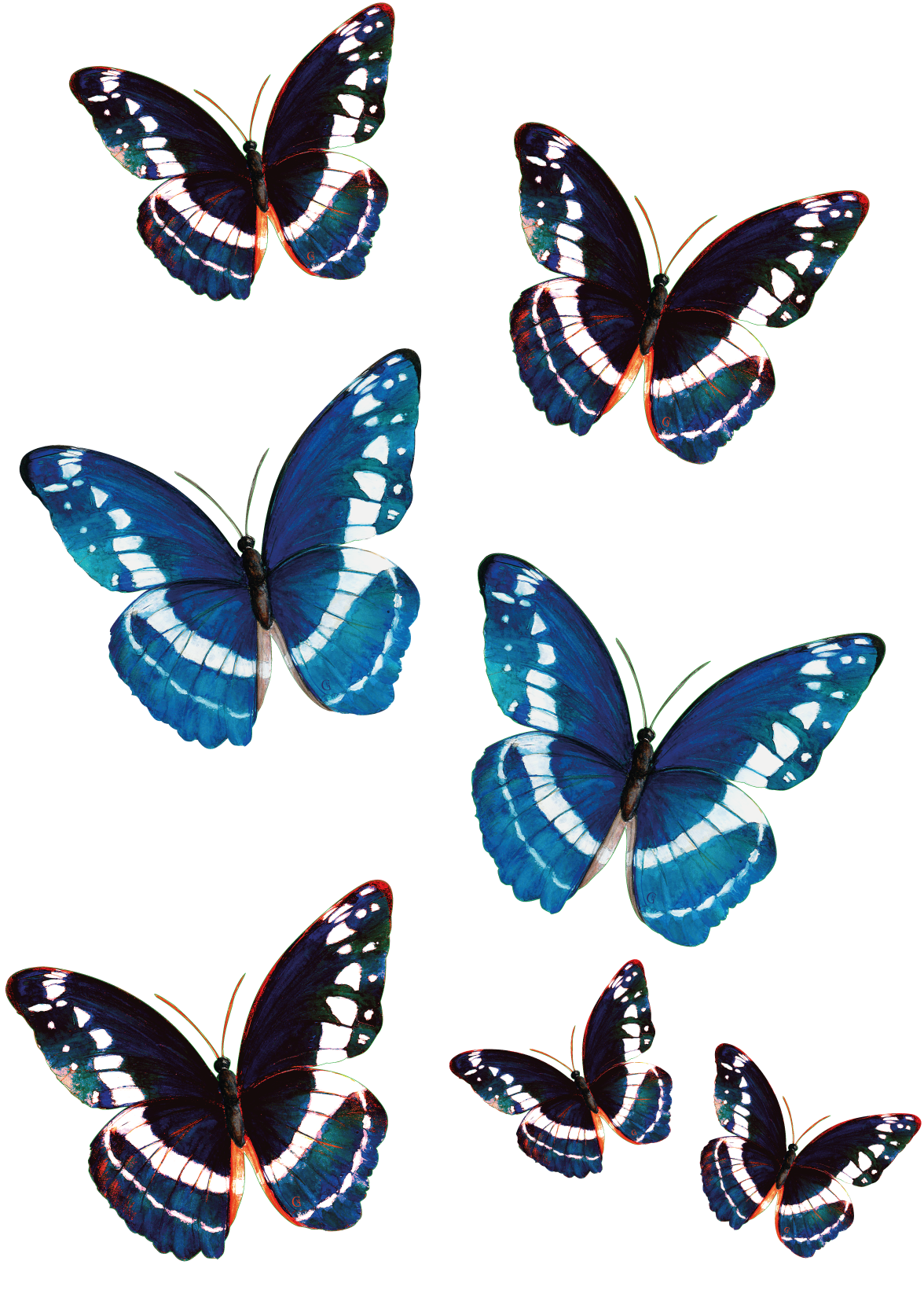 6 papillons nuance Bleu