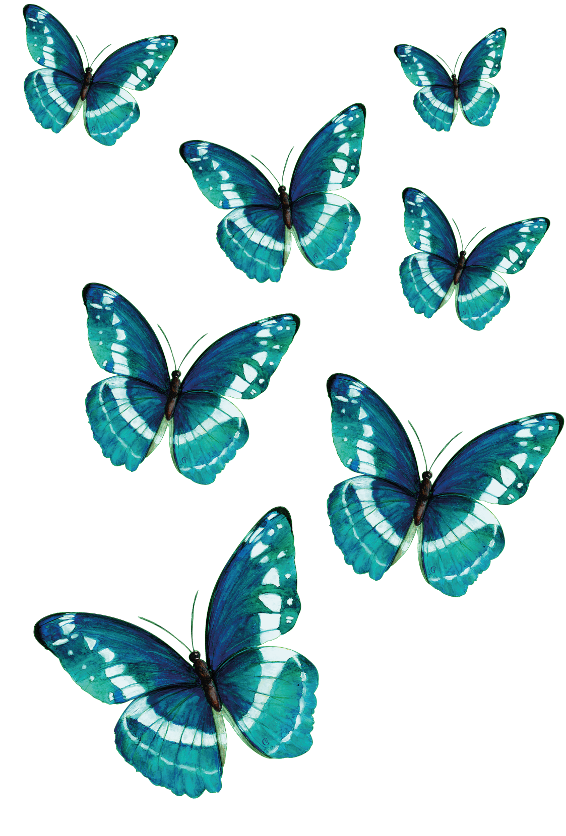 7 papillons Verts